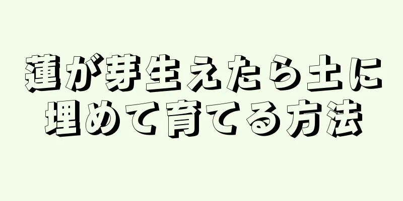 蓮が芽生えたら土に埋めて育てる方法