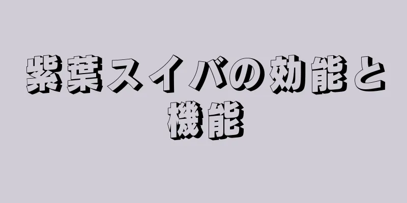 紫葉スイバの効能と機能
