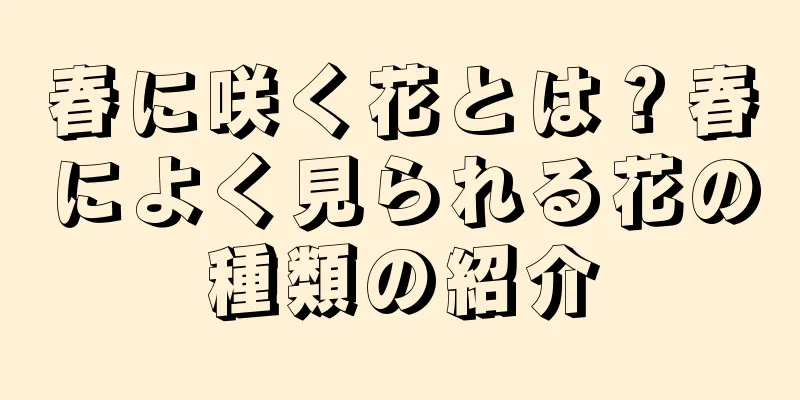 春に咲く花とは？春によく見られる花の種類の紹介