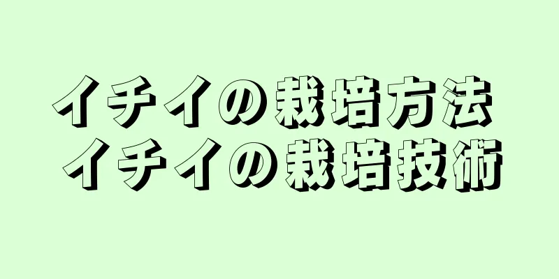 イチイの栽培方法 イチイの栽培技術