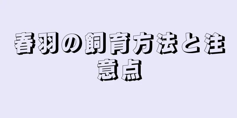 春羽の飼育方法と注意点