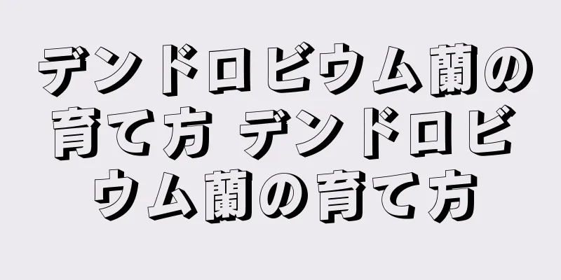デンドロビウム蘭の育て方 デンドロビウム蘭の育て方