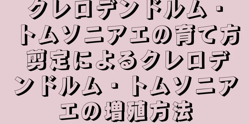 クレロデンドルム・トムソニアエの育て方 剪定によるクレロデンドルム・トムソニアエの増殖方法