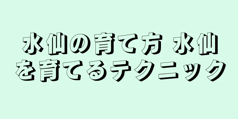 水仙の育て方 水仙を育てるテクニック