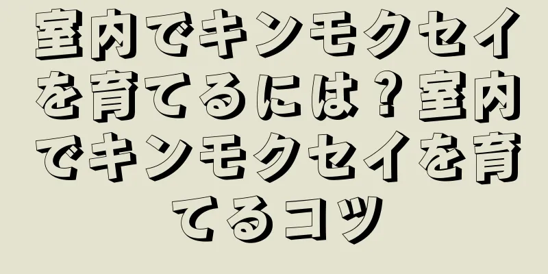 室内でキンモクセイを育てるには？室内でキンモクセイを育てるコツ