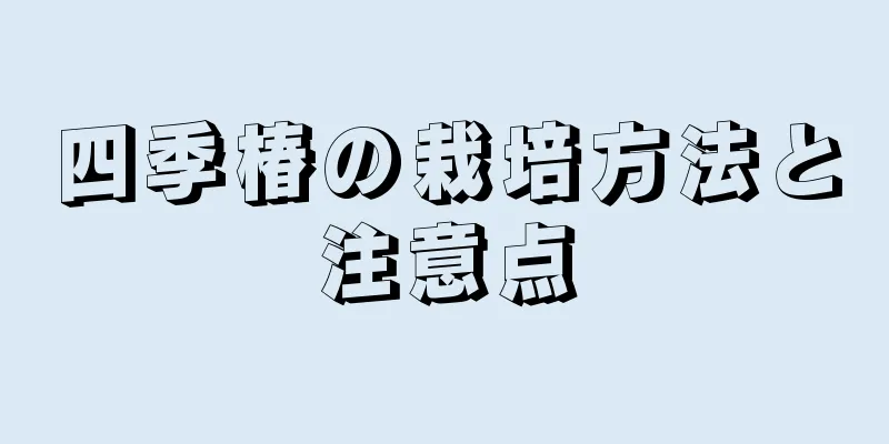 四季椿の栽培方法と注意点