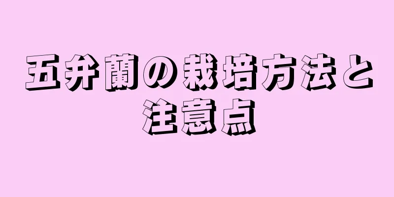五弁蘭の栽培方法と注意点