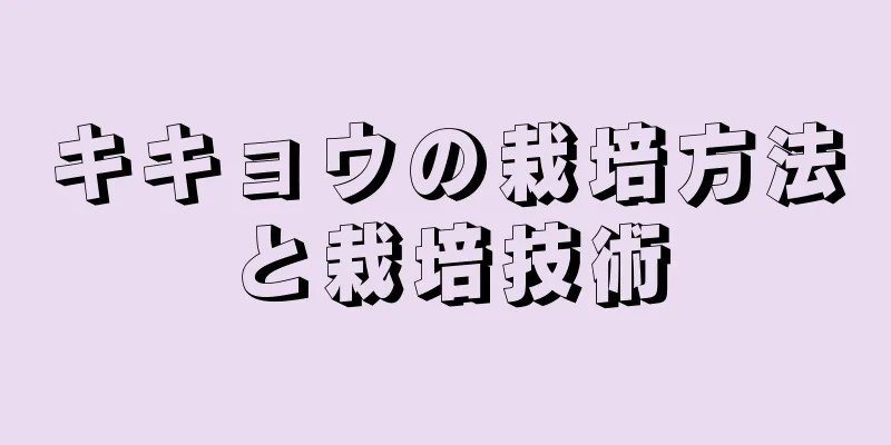 キキョウの栽培方法と栽培技術