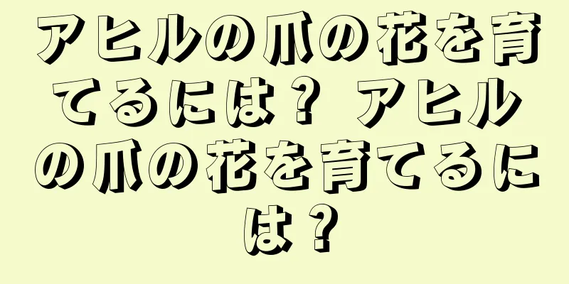 アヒルの爪の花を育てるには？ アヒルの爪の花を育てるには？