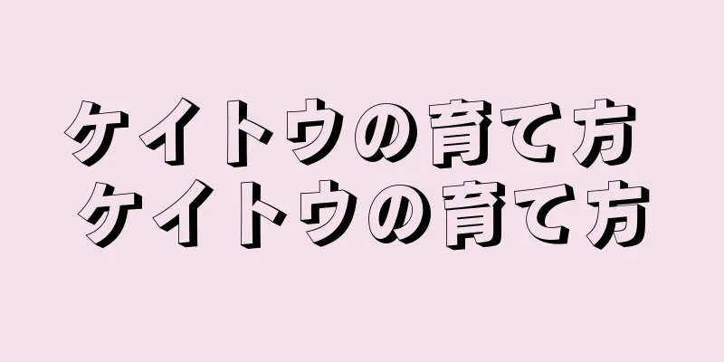 ケイトウの育て方 ケイトウの育て方