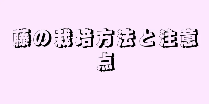藤の栽培方法と注意点