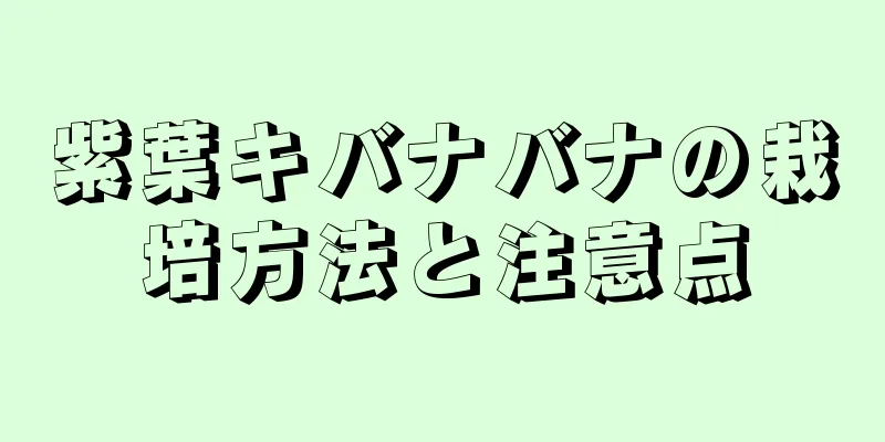 紫葉キバナバナの栽培方法と注意点