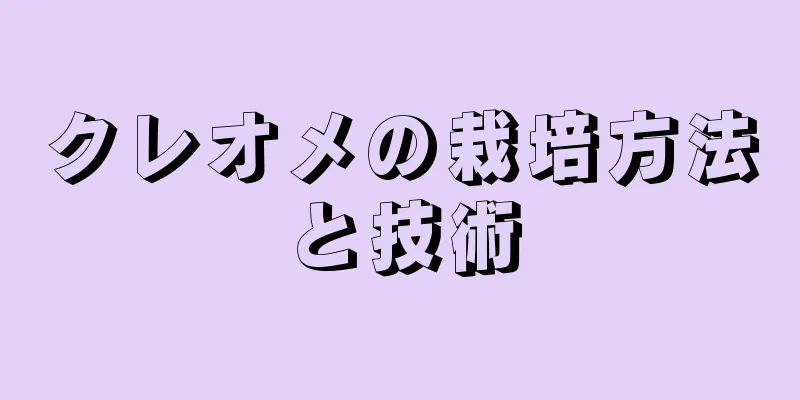 クレオメの栽培方法と技術