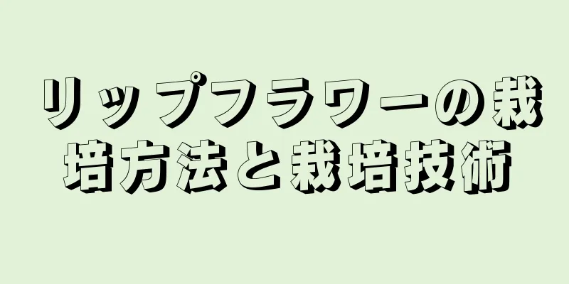 リップフラワーの栽培方法と栽培技術
