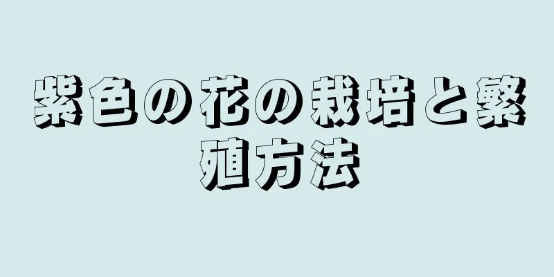 紫色の花の栽培と繁殖方法