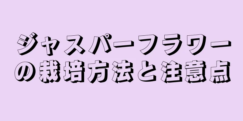 ジャスパーフラワーの栽培方法と注意点