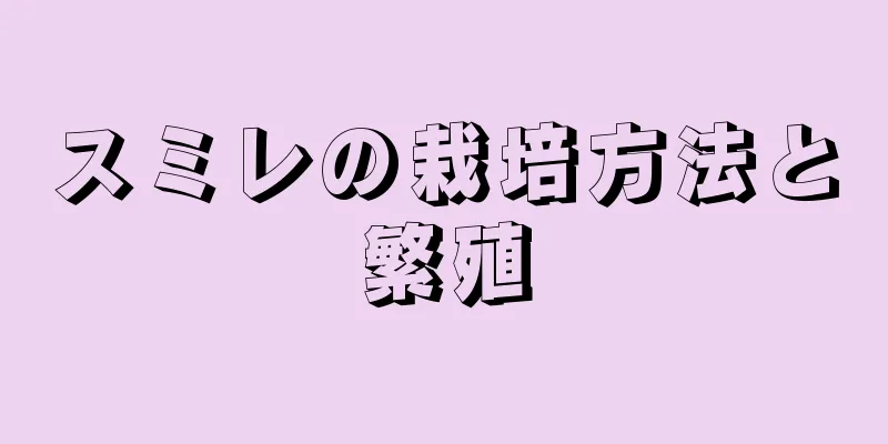 スミレの栽培方法と繁殖