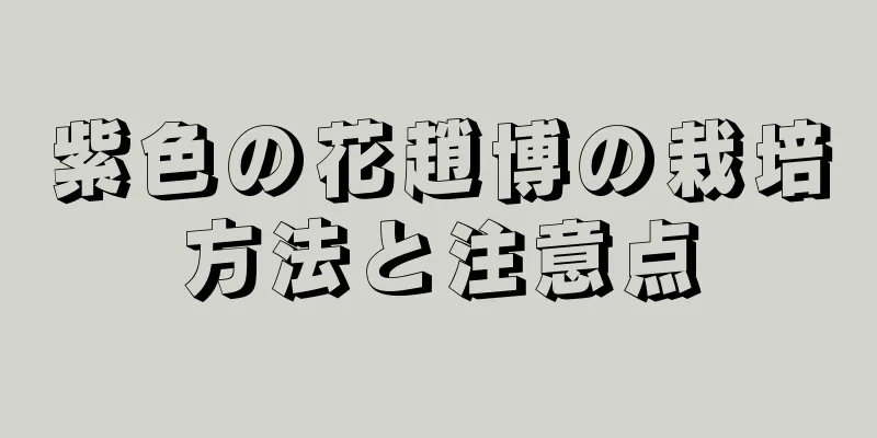 紫色の花趙博の栽培方法と注意点