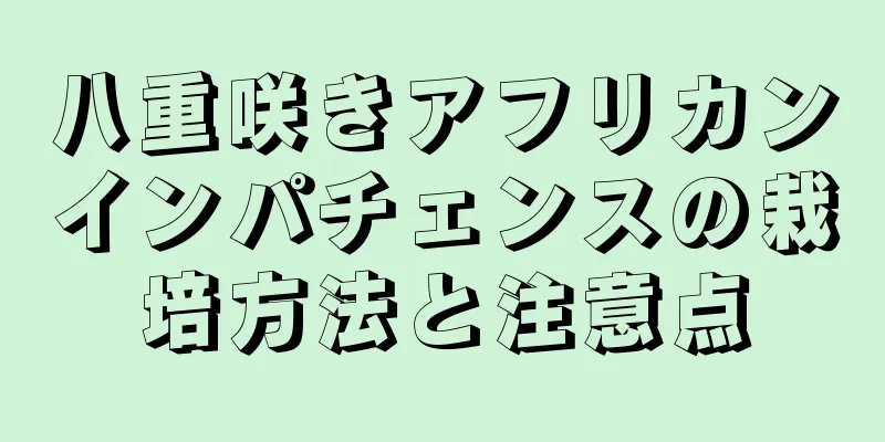 八重咲きアフリカンインパチェンスの栽培方法と注意点