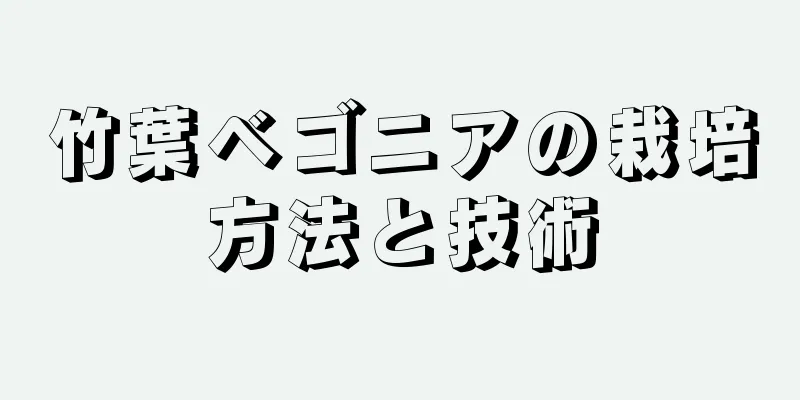 竹葉ベゴニアの栽培方法と技術