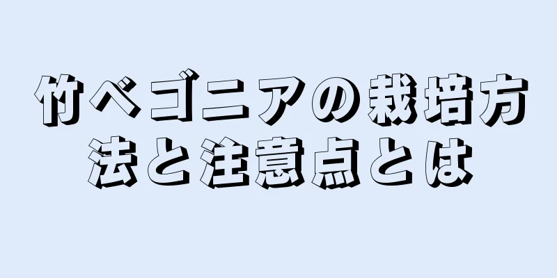 竹ベゴニアの栽培方法と注意点とは
