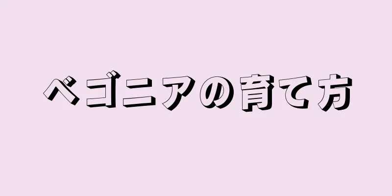 ベゴニアの育て方