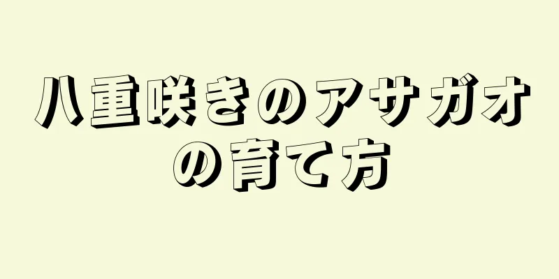 八重咲きのアサガオの育て方