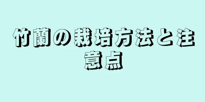竹蘭の栽培方法と注意点