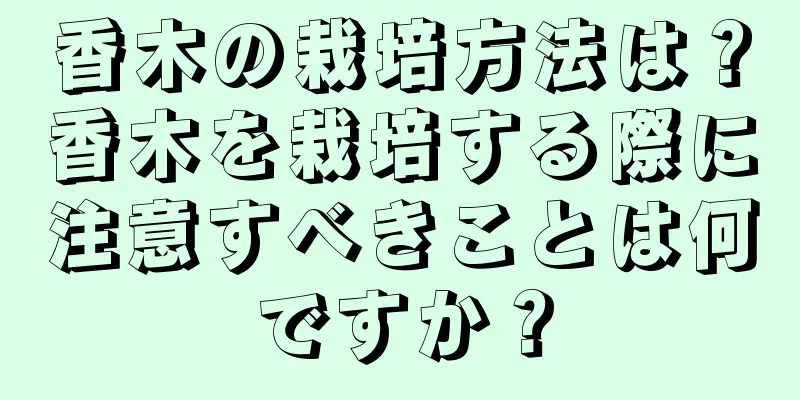 香木の栽培方法は？香木を栽培する際に注意すべきことは何ですか？