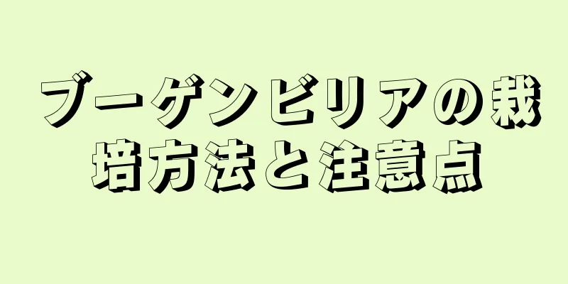 ブーゲンビリアの栽培方法と注意点