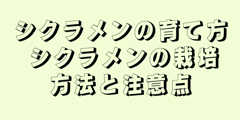 シクラメンの育て方 シクラメンの栽培方法と注意点