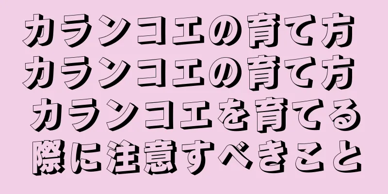 カランコエの育て方 カランコエの育て方 カランコエを育てる際に注意すべきこと