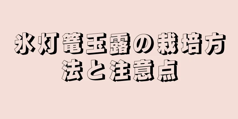 氷灯篭玉露の栽培方法と注意点