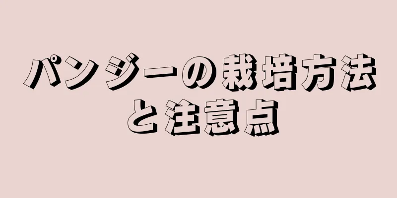 パンジーの栽培方法と注意点