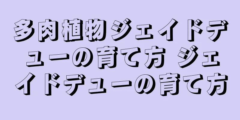多肉植物ジェイドデューの育て方 ジェイドデューの育て方