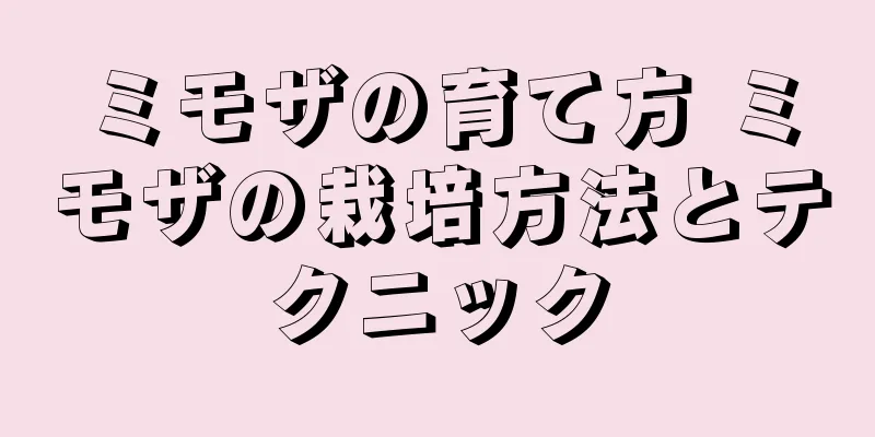 ミモザの育て方 ミモザの栽培方法とテクニック