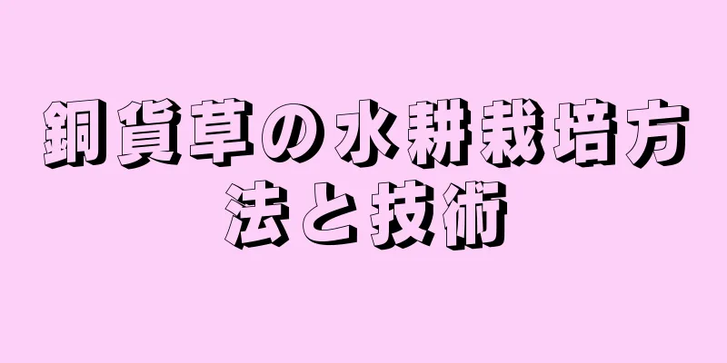 銅貨草の水耕栽培方法と技術