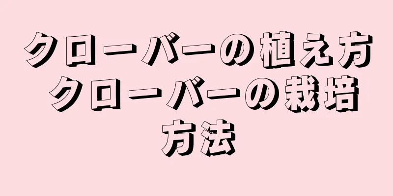 クローバーの植え方 クローバーの栽培方法