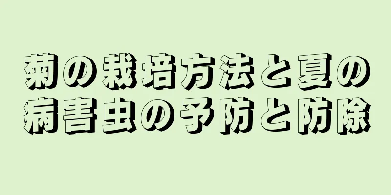 菊の栽培方法と夏の病害虫の予防と防除