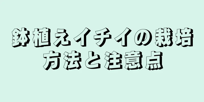 鉢植えイチイの栽培方法と注意点