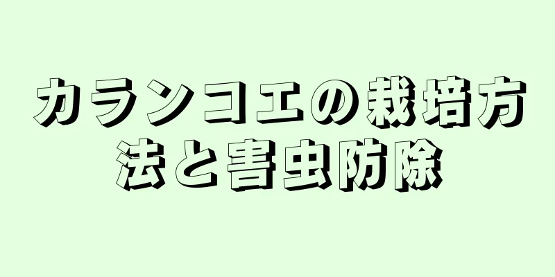 カランコエの栽培方法と害虫防除