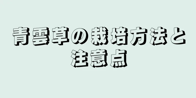 青雲草の栽培方法と注意点