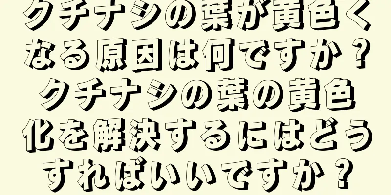 クチナシの葉が黄色くなる原因は何ですか？クチナシの葉の黄色化を解決するにはどうすればいいですか？