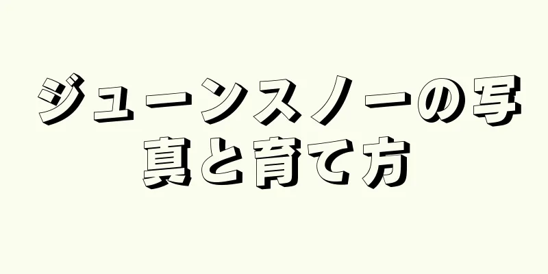 ジューンスノーの写真と育て方