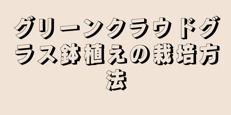 グリーンクラウドグラス鉢植えの栽培方法