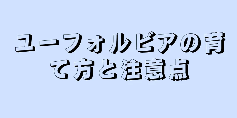 ユーフォルビアの育て方と注意点