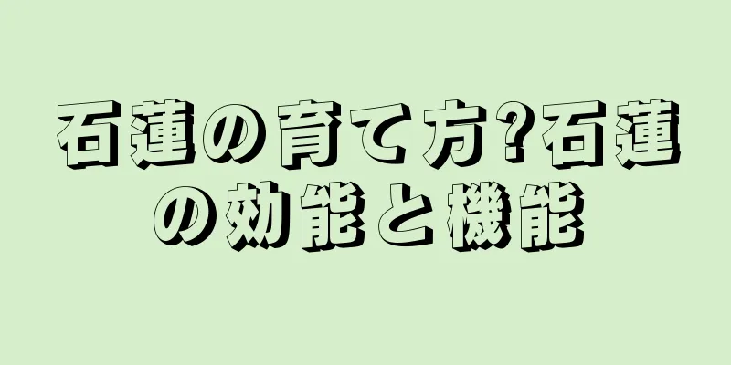 石蓮の育て方?石蓮の効能と機能