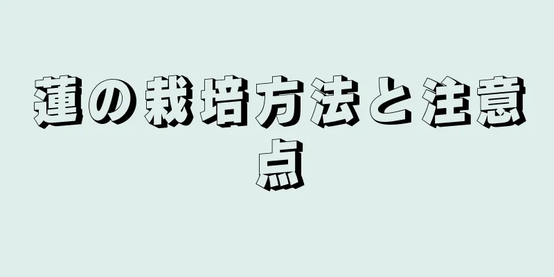 蓮の栽培方法と注意点