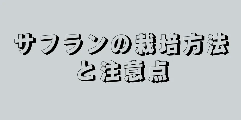 サフランの栽培方法と注意点