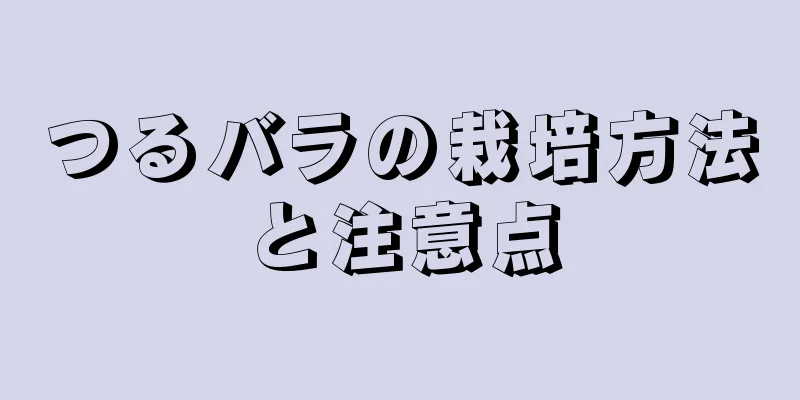 つるバラの栽培方法と注意点
